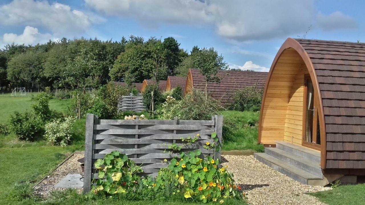 ホテル Buttercup Glamping Pod チェルトナム エクステリア 写真
